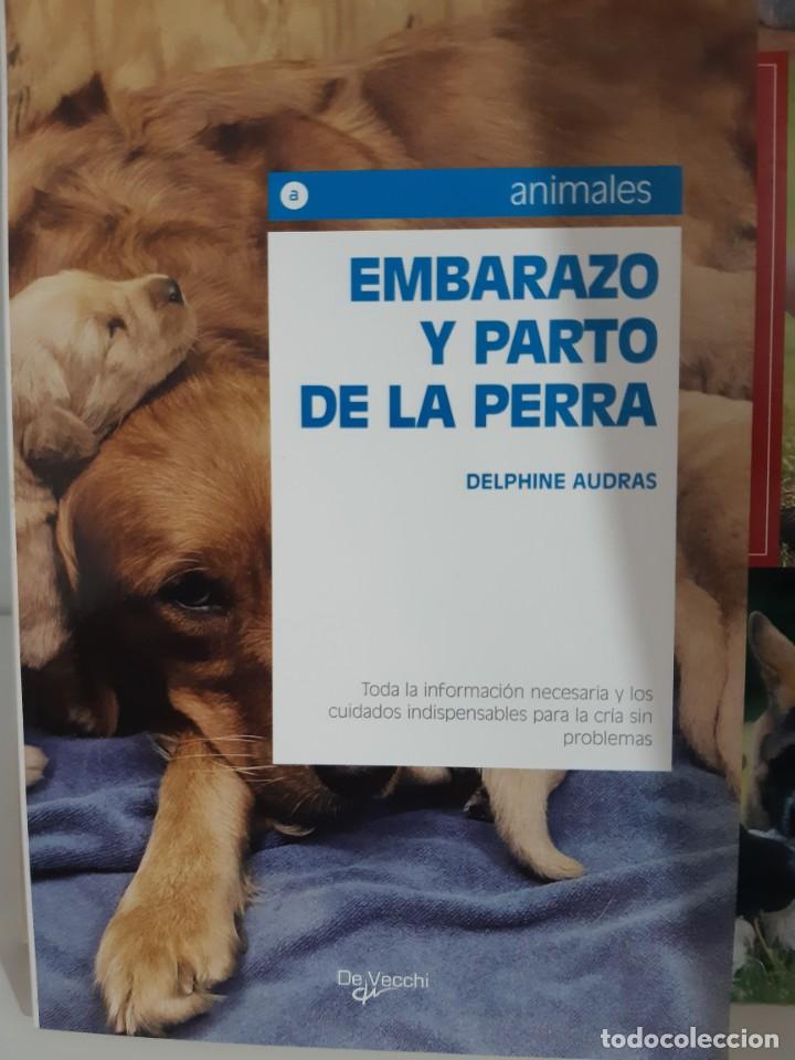 Libros: EMBARAZO Y PARTO DE LA PERRA - Foto 1
