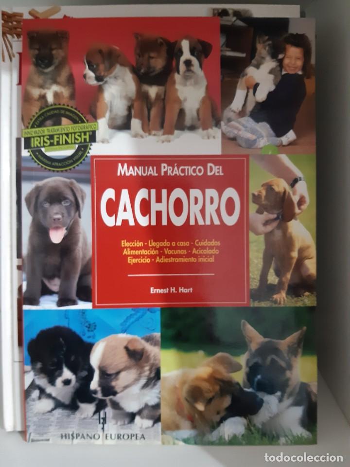 Libros: MANUAL PRACTICO DEL CACHORRO PERRO - Foto 1