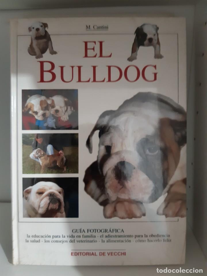 Libros: EL BULLDOG - Foto 1
