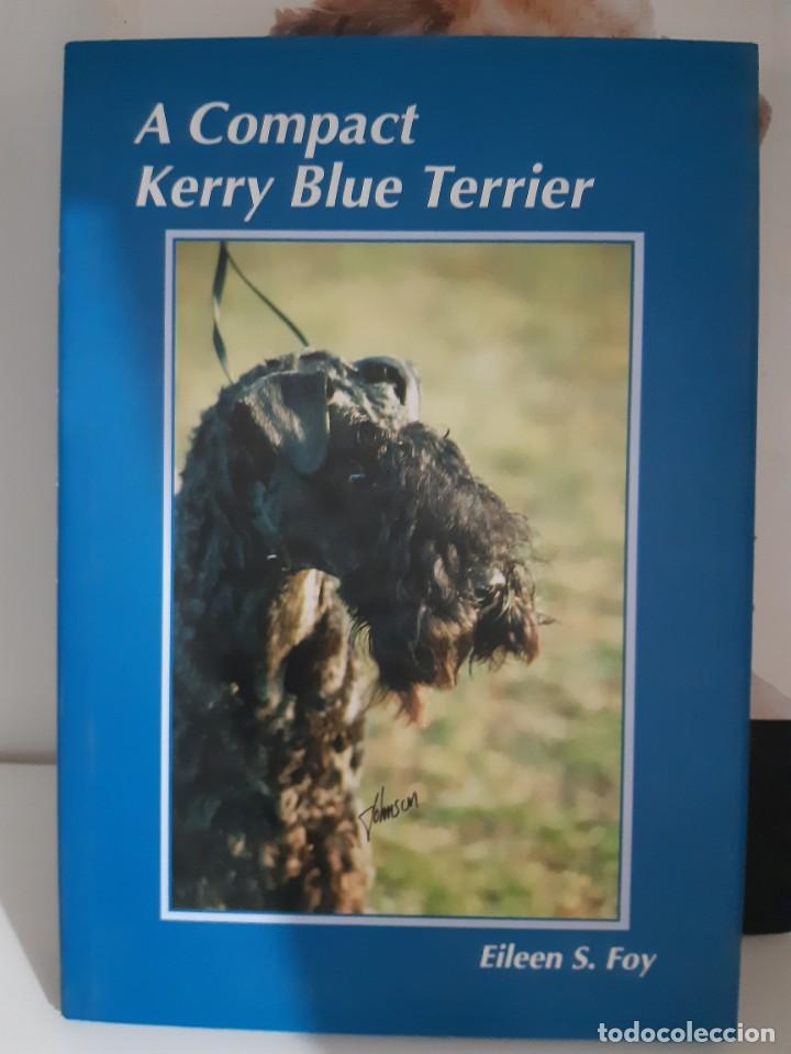 Libros: KERRY BLUE TERRIER - Foto 1