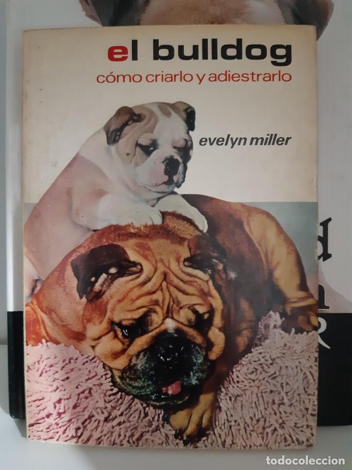 Libros: EL BULLDOG - Foto 1