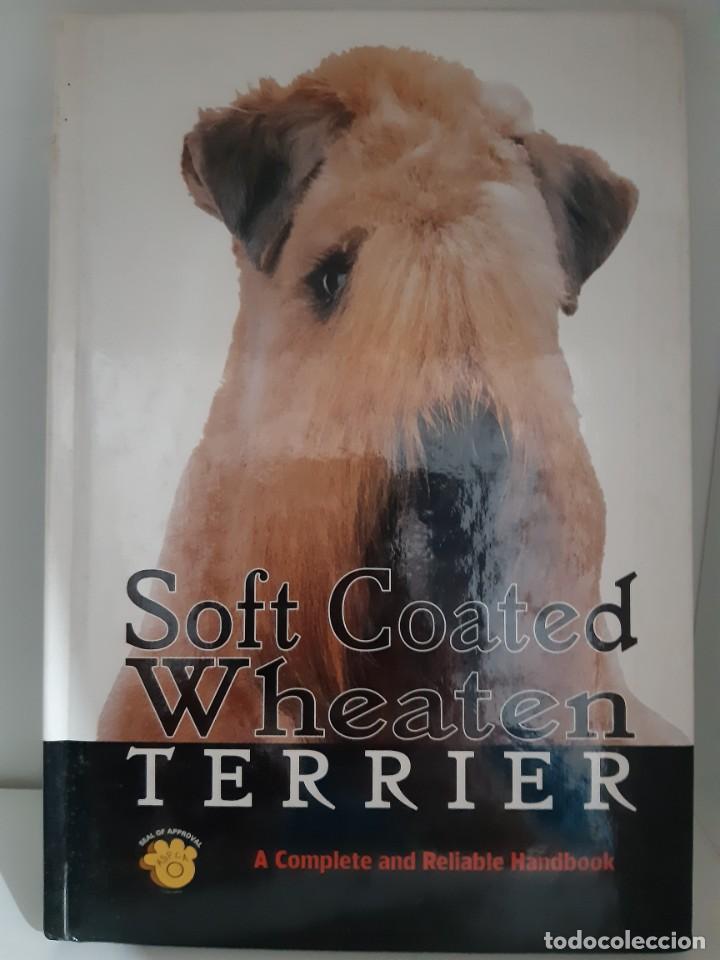 Libros: SOFT COATED WHEATEN TERRIER - Foto 1