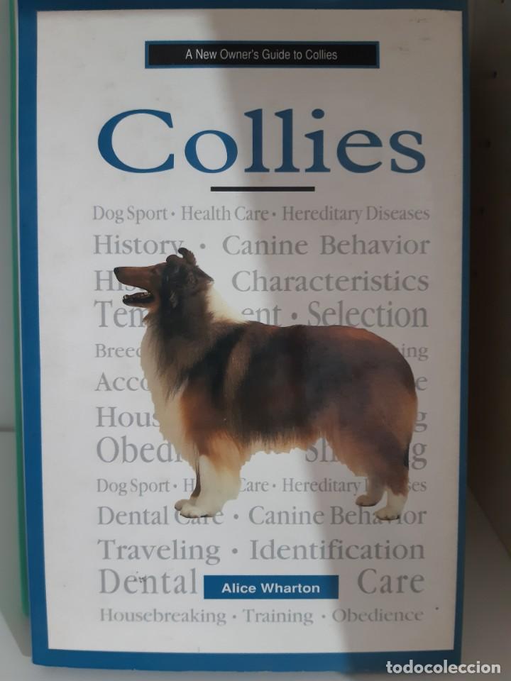 Libros: COLLIES - Foto 1