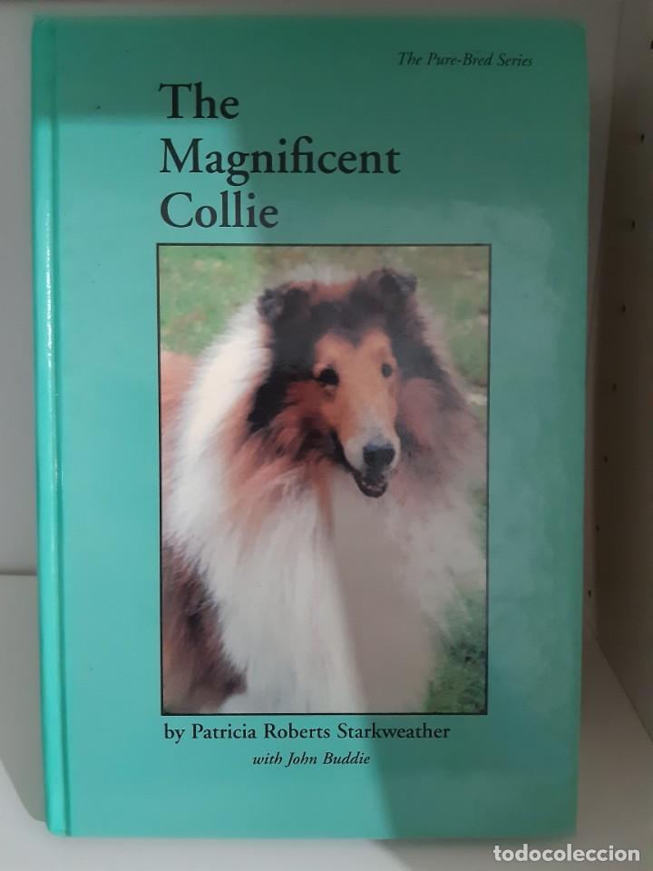 Libros: THE MAGNIFICENT COLLIE - Foto 1