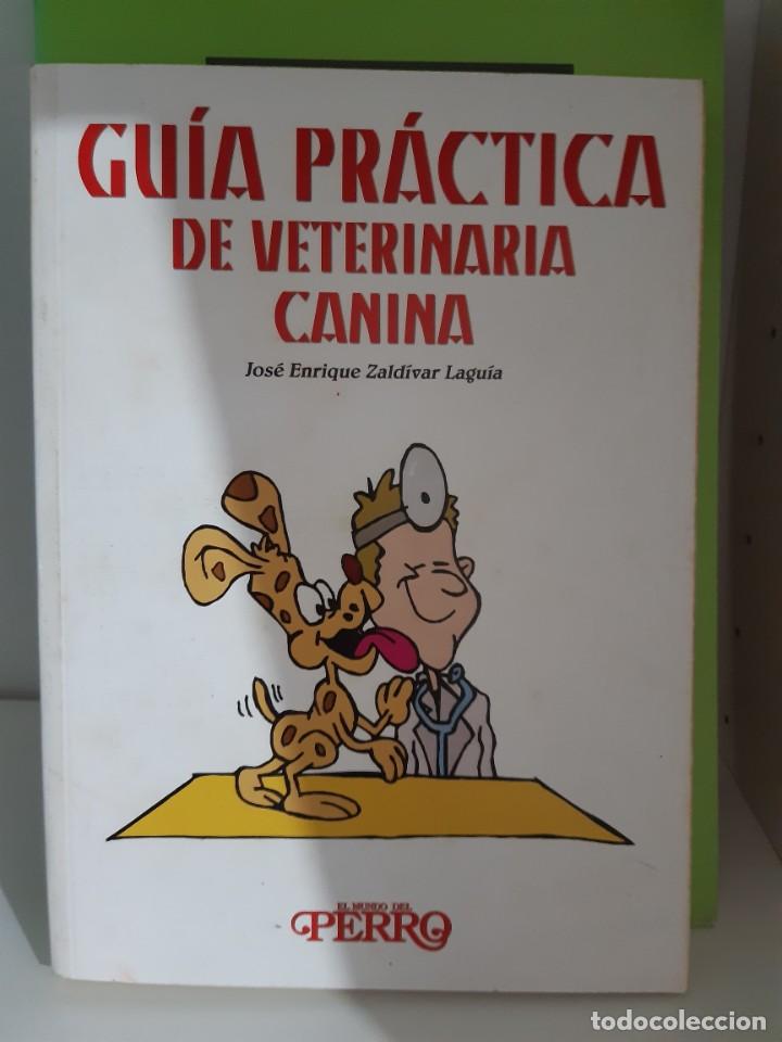 Libros: GUIA PRACTICA DE VETERINARIA CANINA - Foto 1
