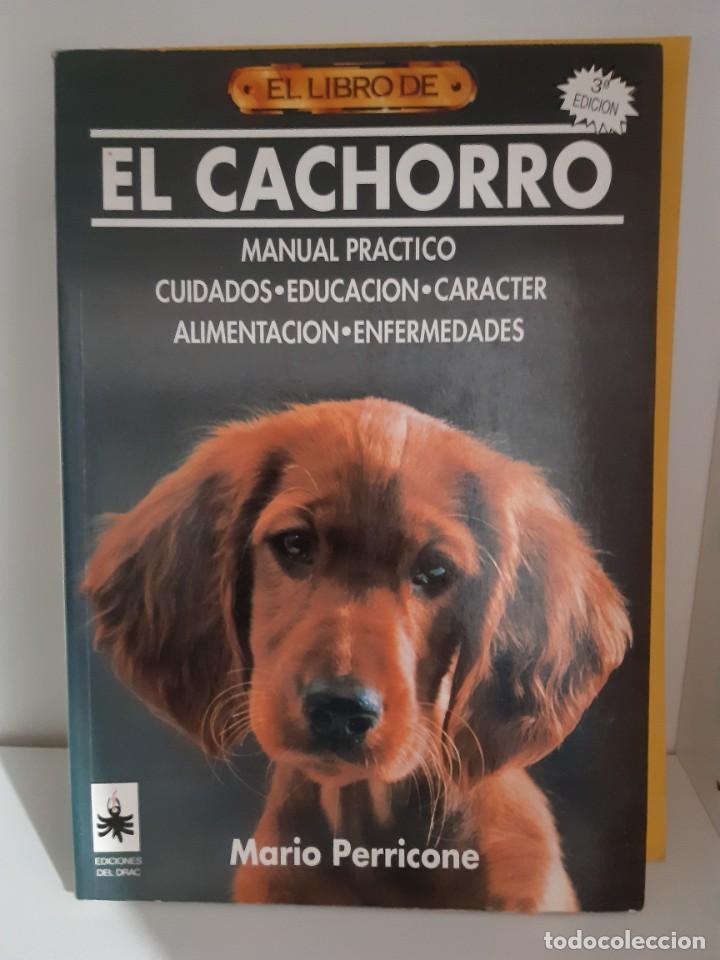 Libros: EL CACHORRO - Foto 1