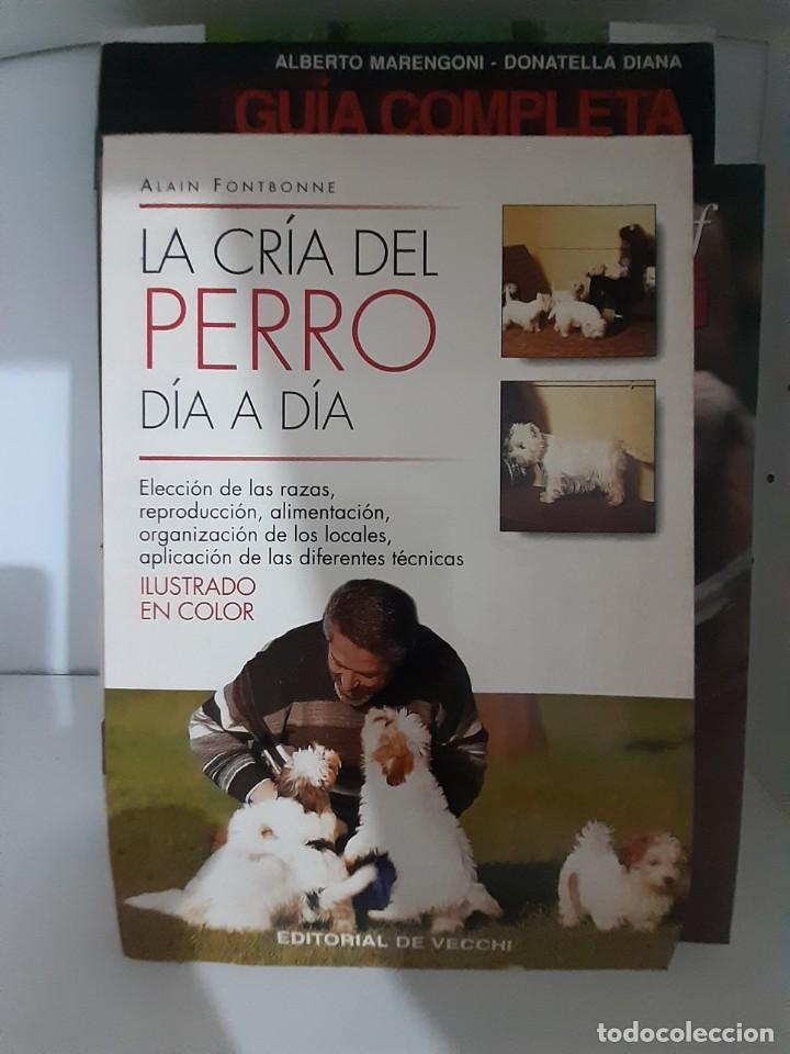 Libros: LA CRIA DEL PERRO DIA A DIA - Foto 1