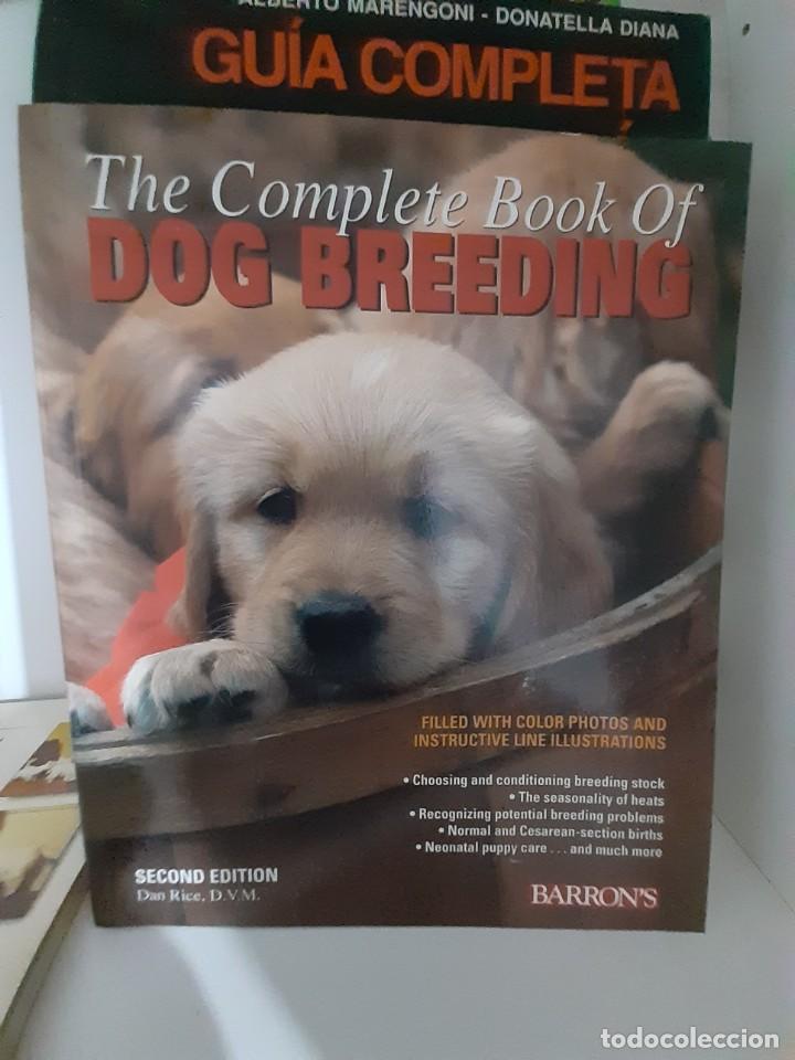 Libros: DOG BREEDING CRIA CANINA PERROS - Foto 1