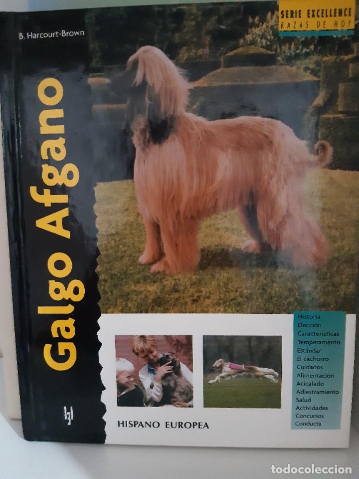 Libros: GALGO AFGANO - Foto 1