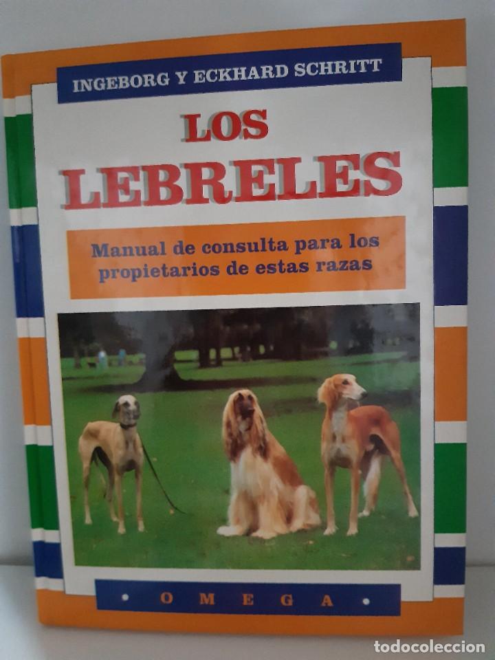 Libros: LOS LEBRELES GALGO AFGHANO - Foto 1