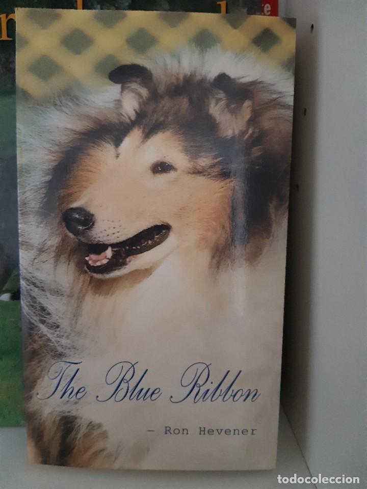 Libros: THE BLUE RIBBON COLLIE - Foto 1