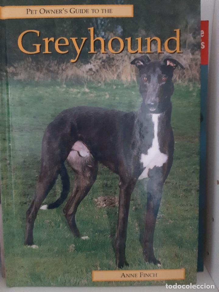 Libros: GREYHOUND - Foto 1