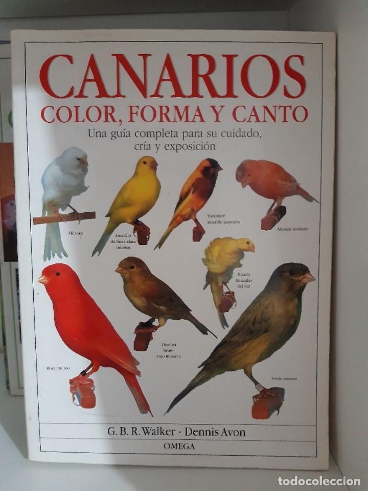 Libros: CANARIOS COLOR FORMA CANTO - Foto 1
