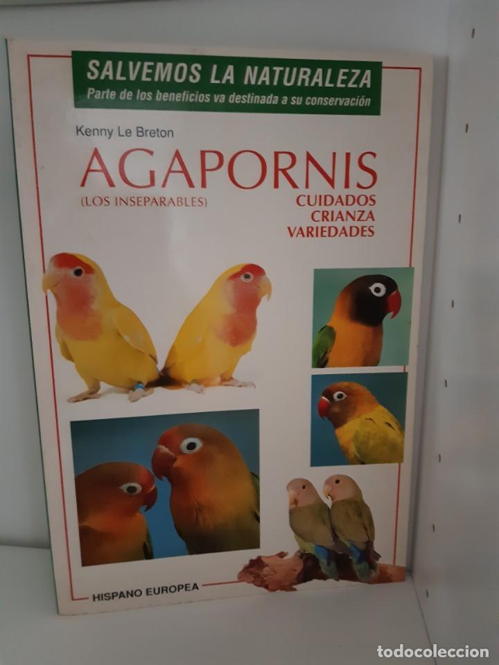 Libros: AGAPORNI AGAPORNIS LOS INSEPARABLES - Foto 1