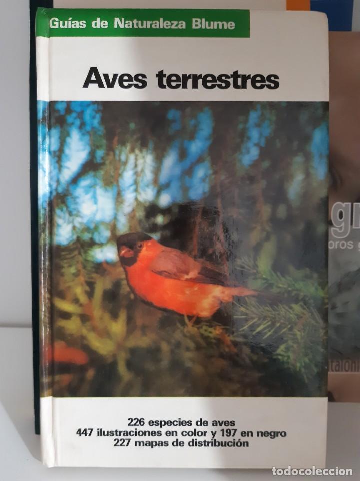 Libros: AVES TERRESTRES - Foto 1