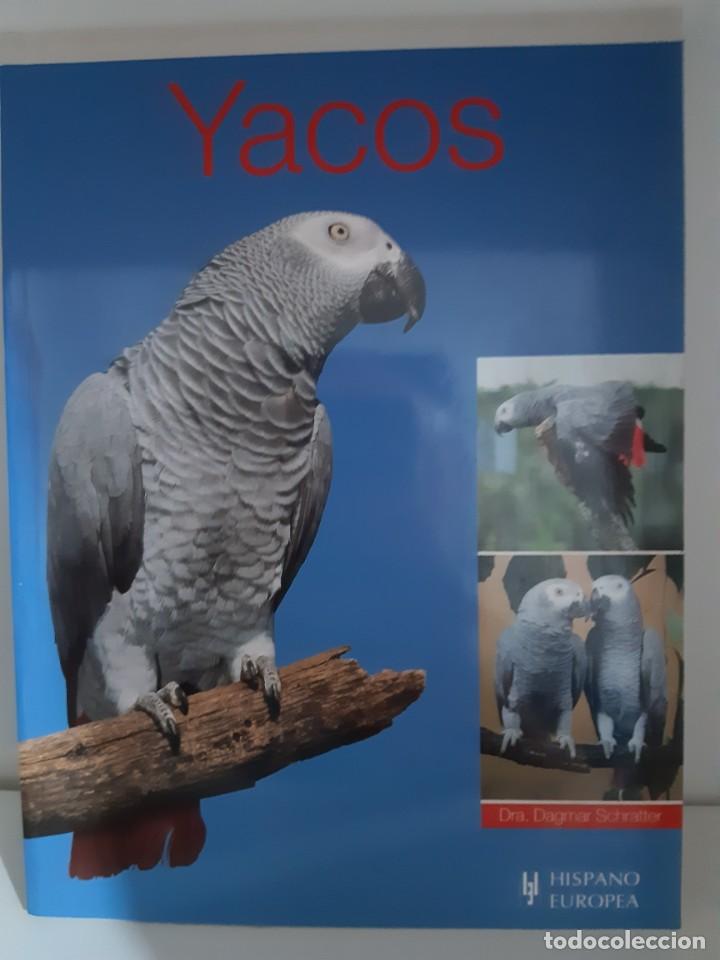 Libros: YACOS YACO LORO GRIS - Foto 1