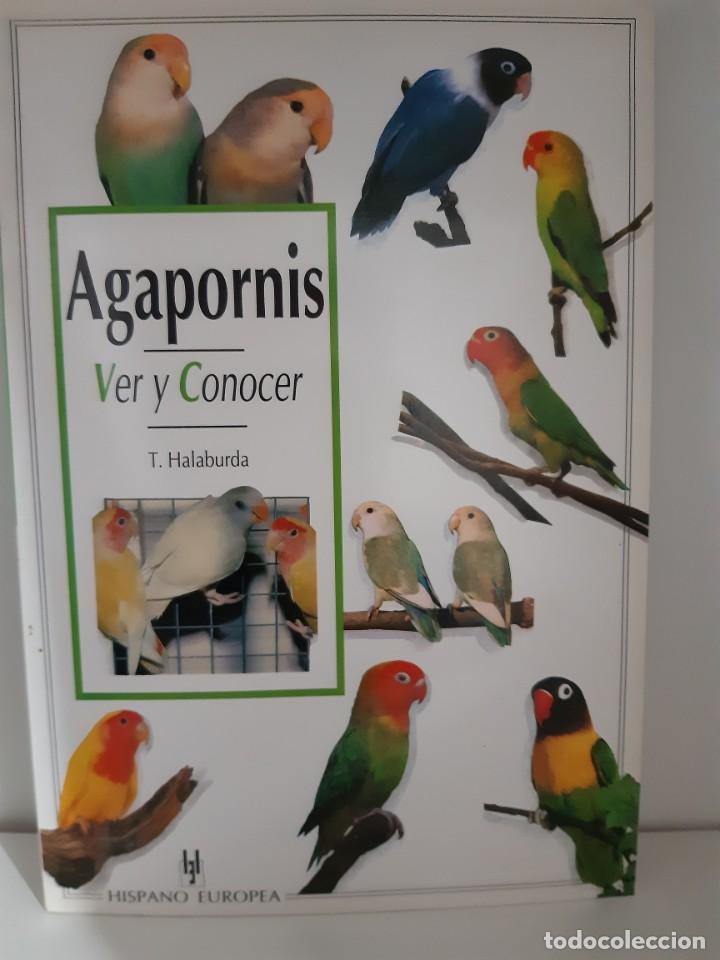 Libros: AGAPORNIS - Foto 1