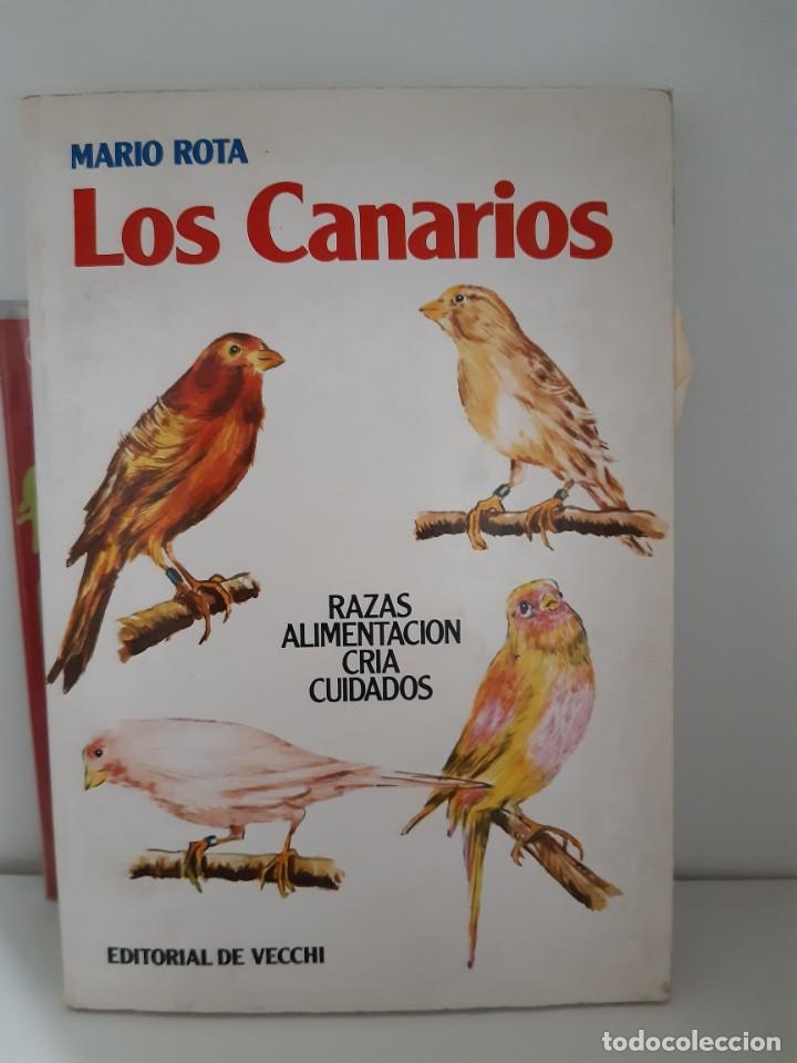 Libros: LOS CANARIOS MARIO ROTA - Foto 1