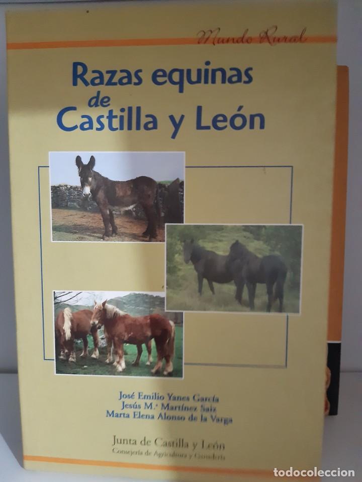 Libros: RAZAS EQUINAS DE CASTILLA Y LEON - Foto 1