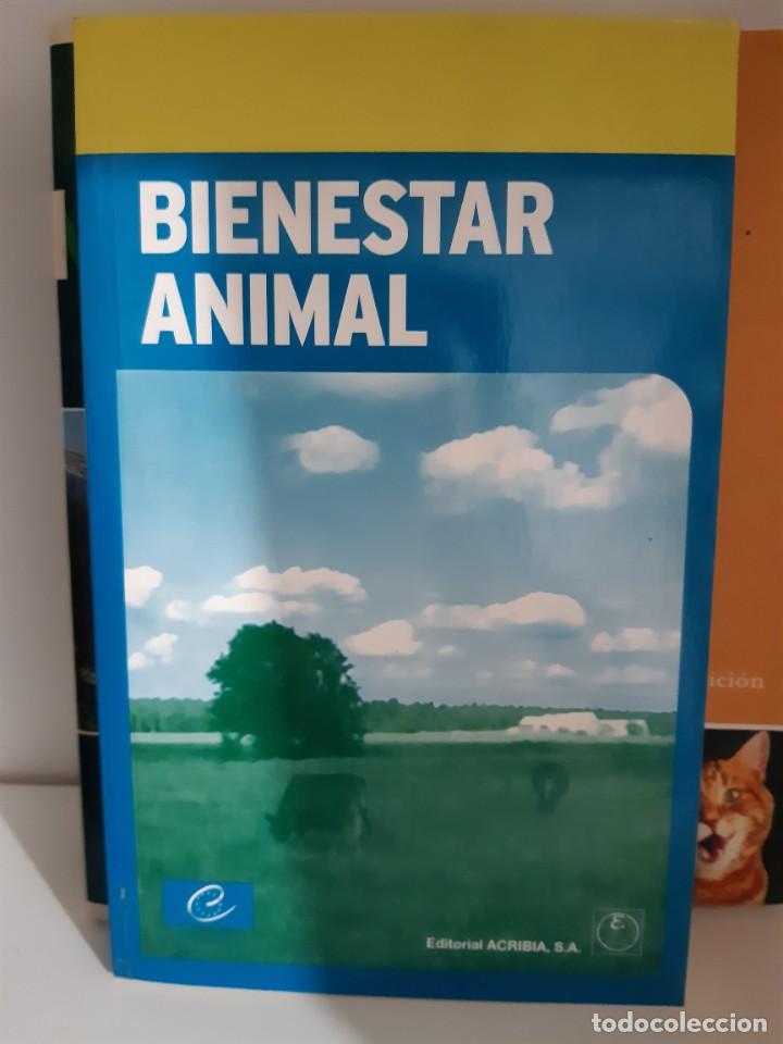 Libros: BIENESTAR ANIMAL - Foto 1