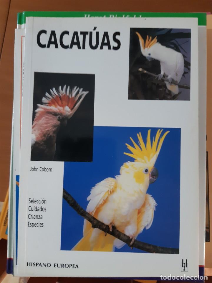 Libros: CACATUAS - Foto 1