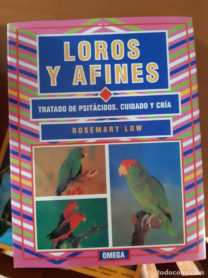 Libros: LOROS Y AFINES - Foto 1