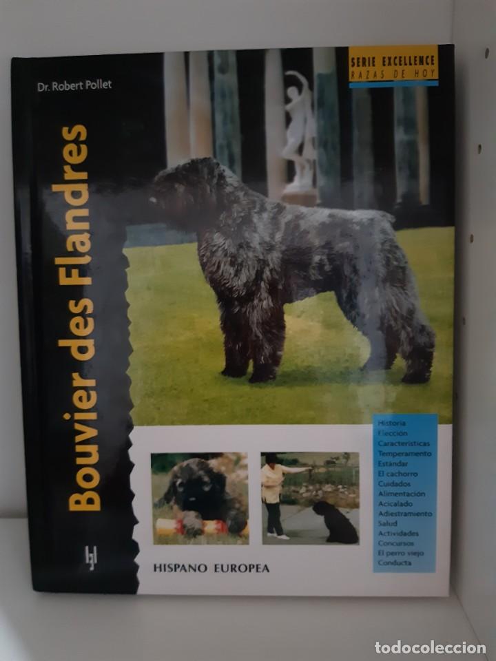 Libros: BOUVIER DE FLANDES - Foto 1