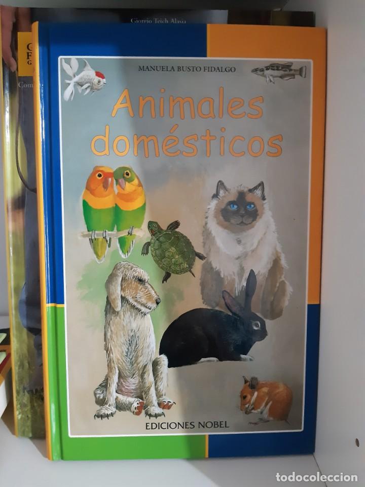 Libros: ANIMALES DOMESTICOS - Foto 1