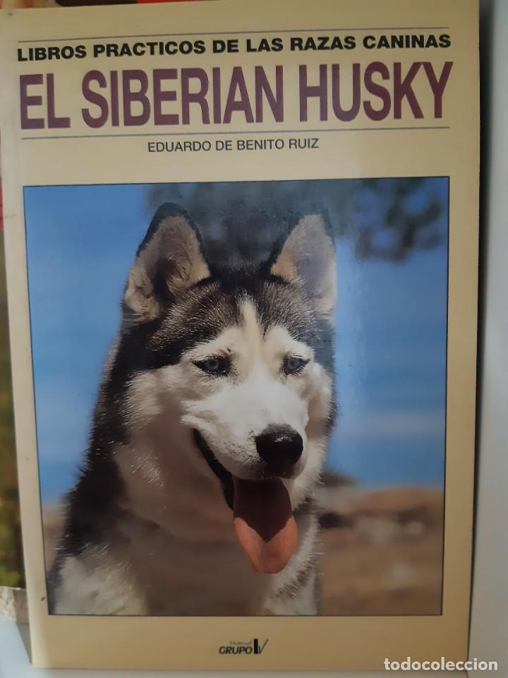 Libros: EL SIBERIAN HUSKY - Foto 1