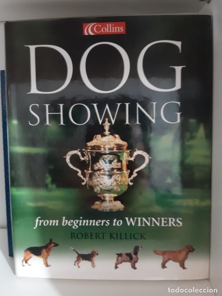 Libros: DOG SHOWING PERROS SHOW EXPOSICION - Foto 1