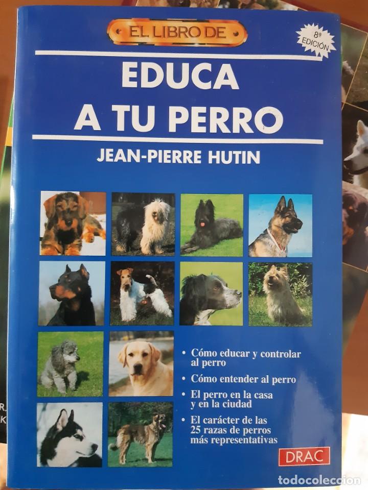 Libros: EDUCA A TU PERRO - Foto 1