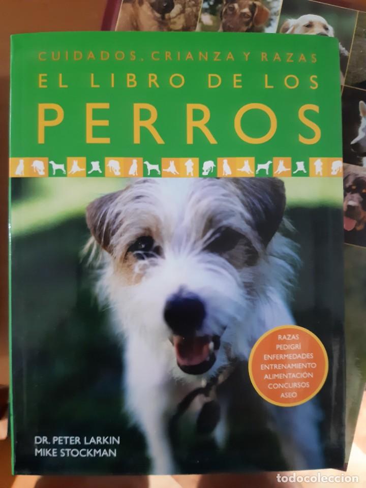 Libros: CUIDADO Y CRIANZA EL LIBRO DE LOS PERROS - Foto 1