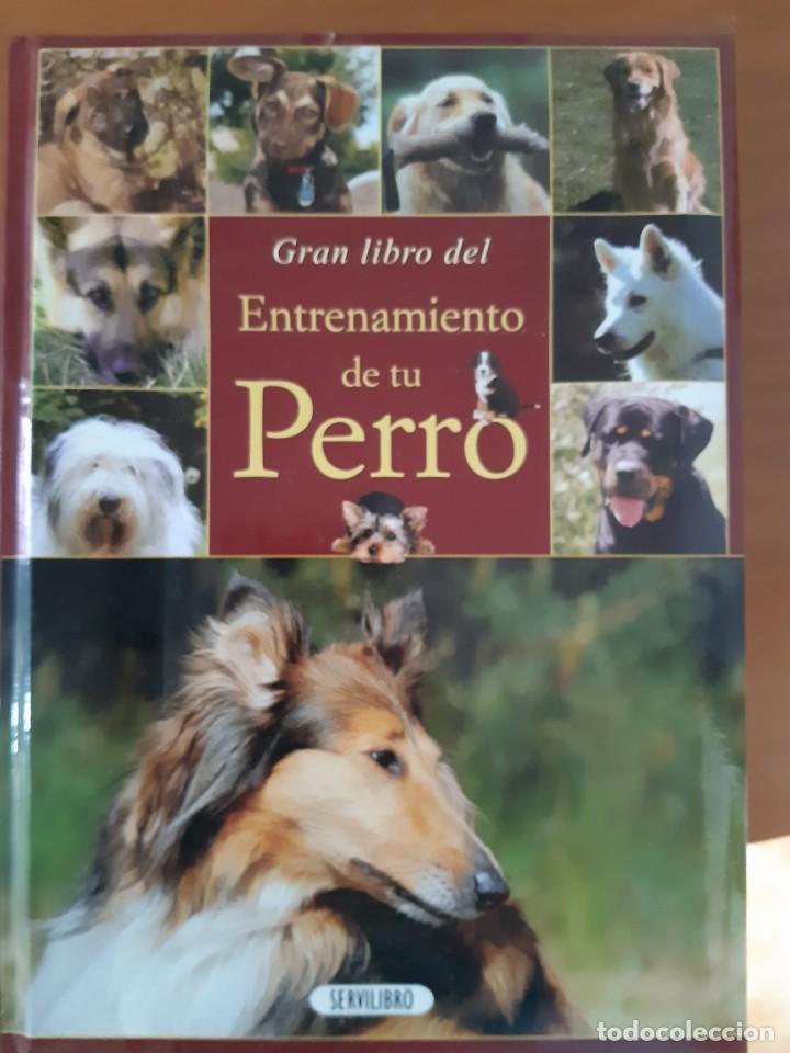 Libros: GRAN LIBRO DEL ENTRENAMIENTO DE TU PERRO - Foto 1