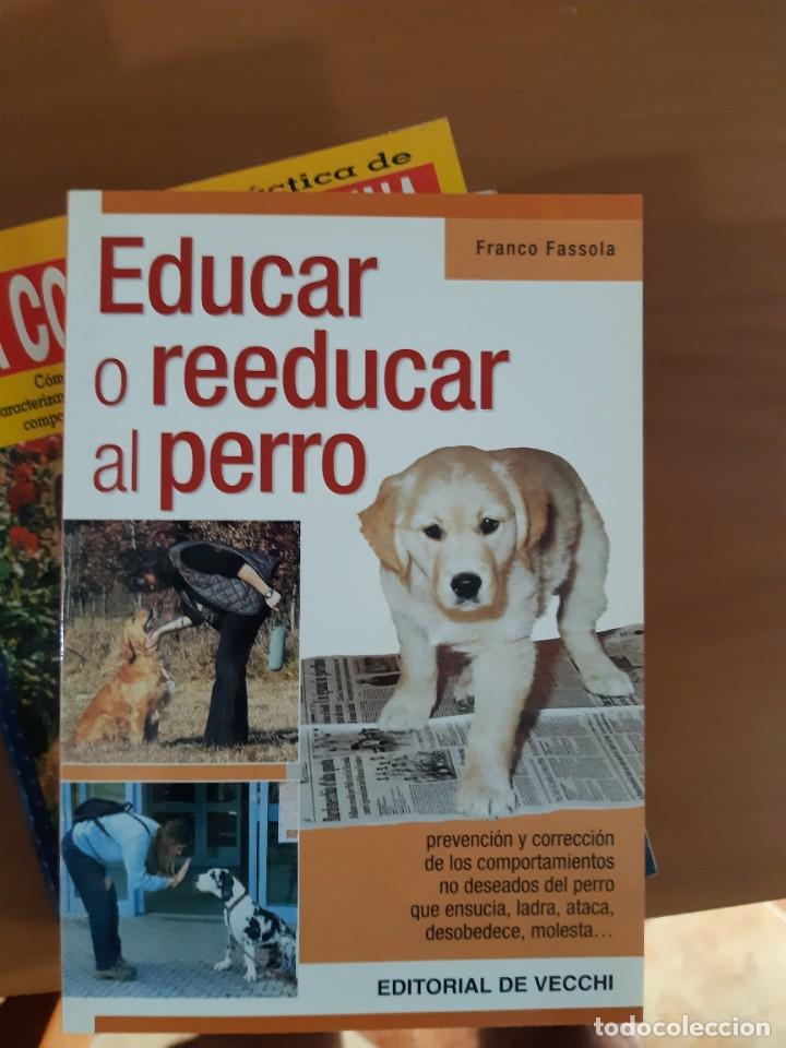 Libros: EDUCAR O REEDUCAR AL PERRO - Foto 1