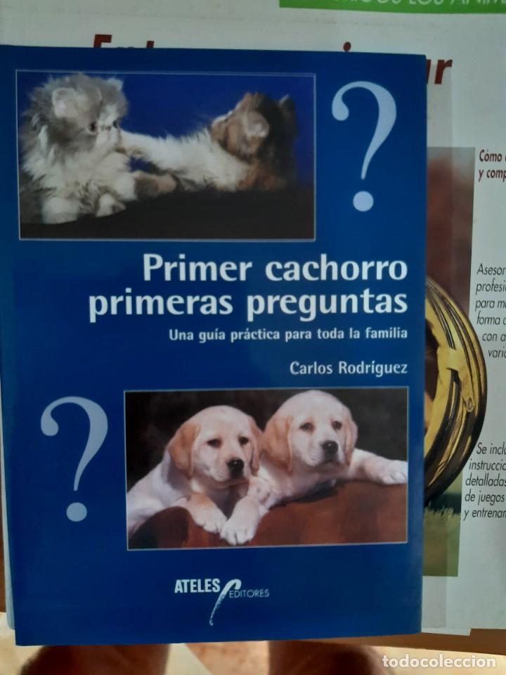 Libros: PRIMER CACHORRO PRIMERAS PREGUNTAS PERROS - Foto 1