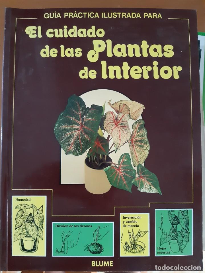 Libros: EL CUIDADO DE LAS PLANTAS DE INTERIOR - Foto 1