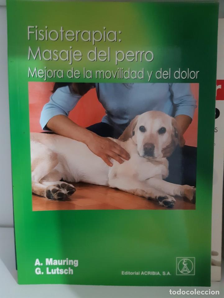 Libros: FISIOTERAPIA MASAJE DEL PERRO - Foto 1