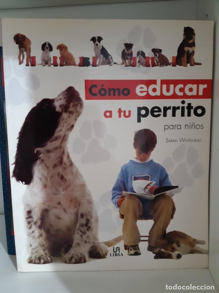 Libros: COMO EDUCAR A TU PERRO PARA NI&Ntilde;OS - Foto 1