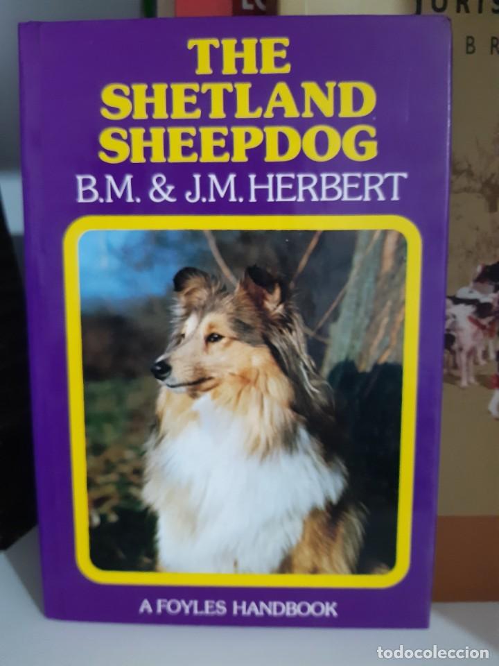 Libros: THE SHETLAND SHEEPDOG COLLIE - Foto 1