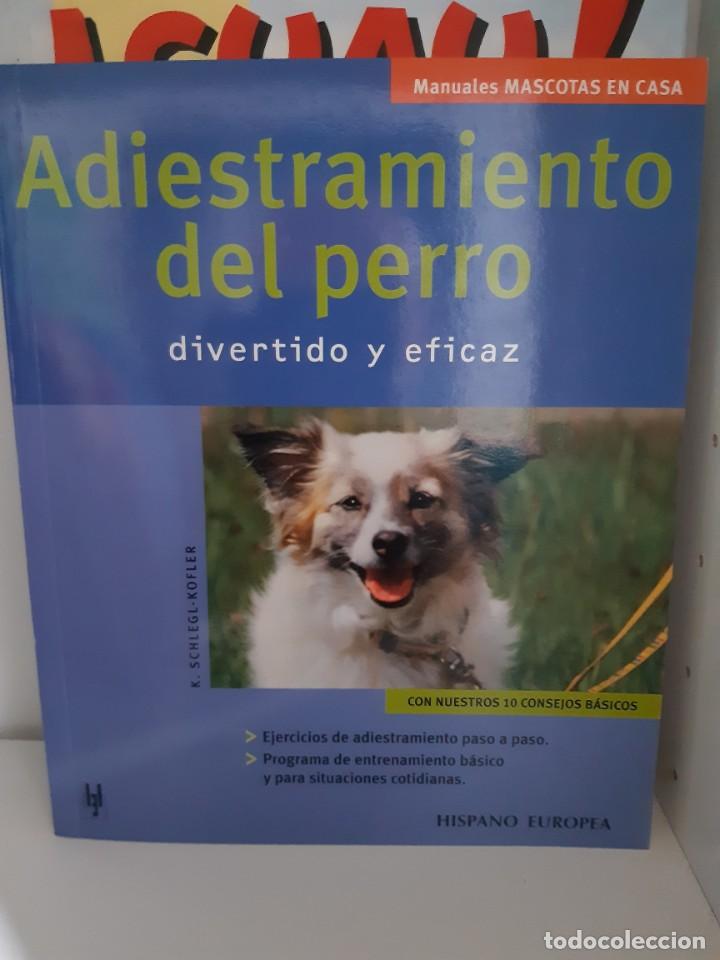 Libros: ADIESTRAMIENTO DEL PERRO - Foto 1