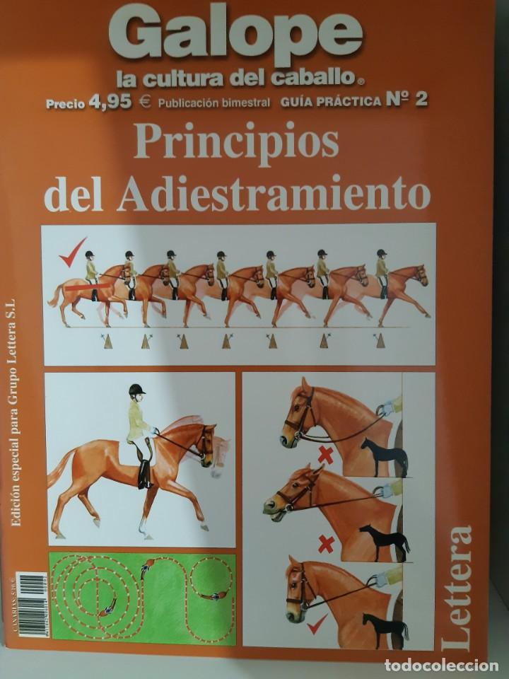 Libros: GALOPE CABALLOS PRINCIPIOS DE ADIESTRAMIENTO - Foto 1