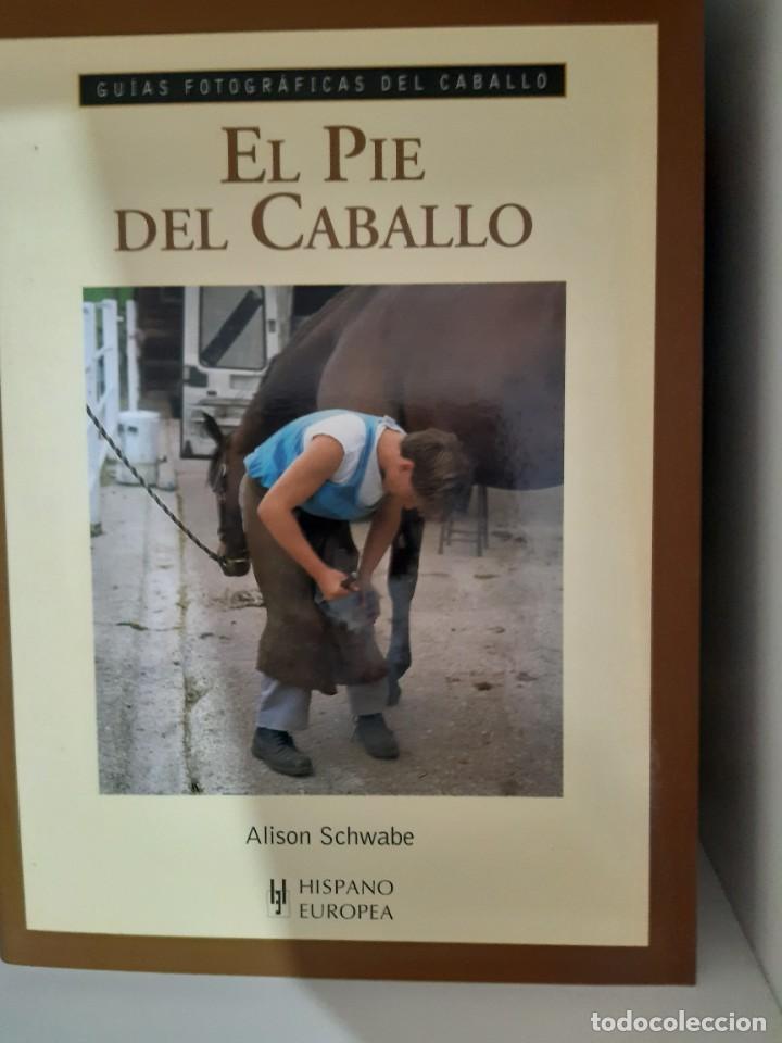 Libros: EL PIE DEL CABALLO - Foto 1