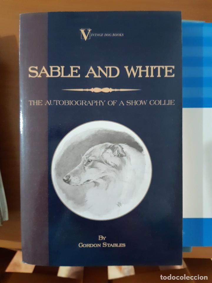 Libros: SABLE AND WHITE COLLIE - Foto 1