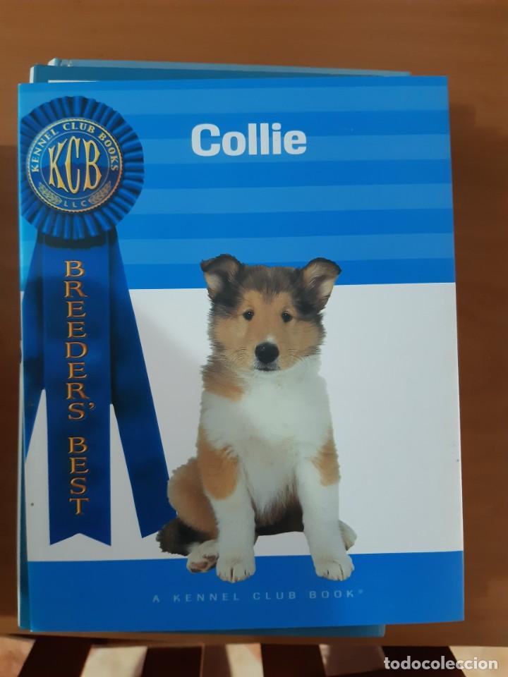 Libros: COLLIE PERROS KCB - Foto 1