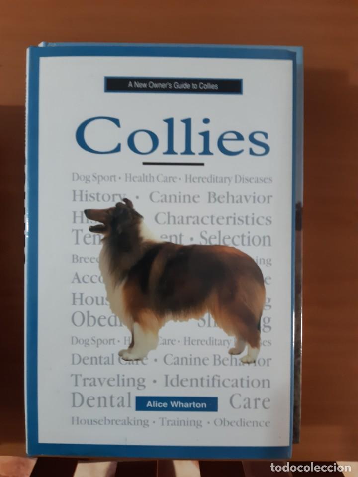 Libros: COLLIE COLLIES PERROS - Foto 1