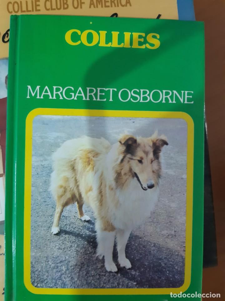 Libros: COLLIE COLLIES MARGARET OSBORNE - Foto 1