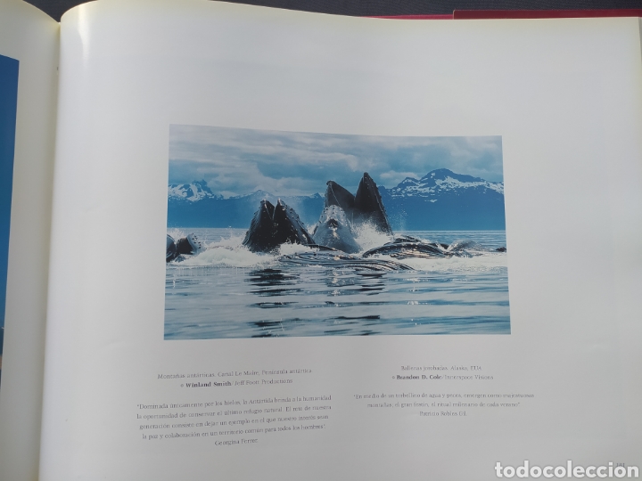 Libros: Celebraci&oacute;n a los Mares Expo 98 - Foto 4