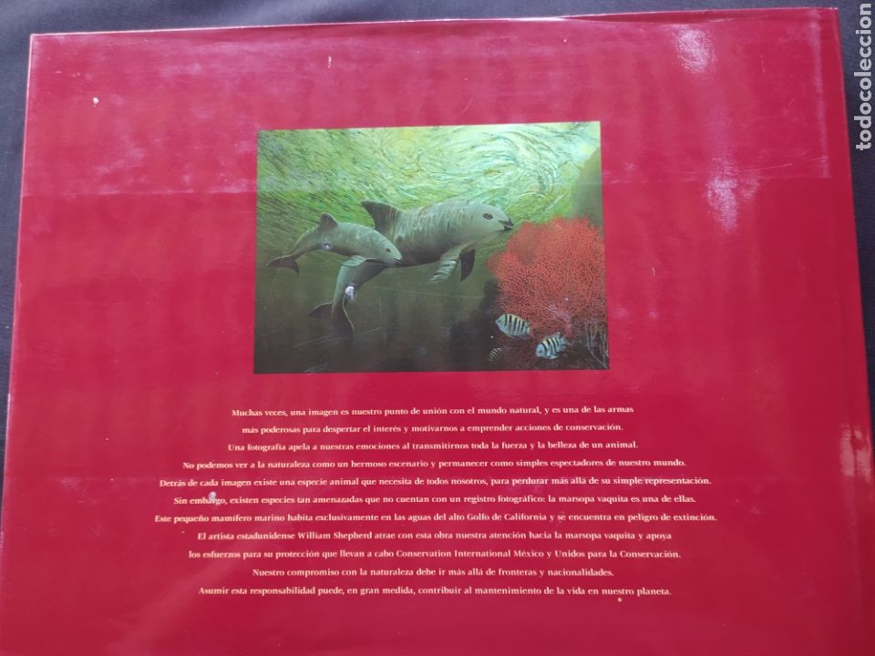 Libros: Celebraci&oacute;n a los Mares Expo 98 - Foto 5