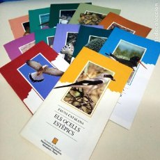 Libros: FAUNA CATALANA - COLECC DE 12 QUADERNS - GENERALITAT DE CATALUNYA - DIARI AVUI - AÑOS 90 - NUEVOS. Lote 292391853