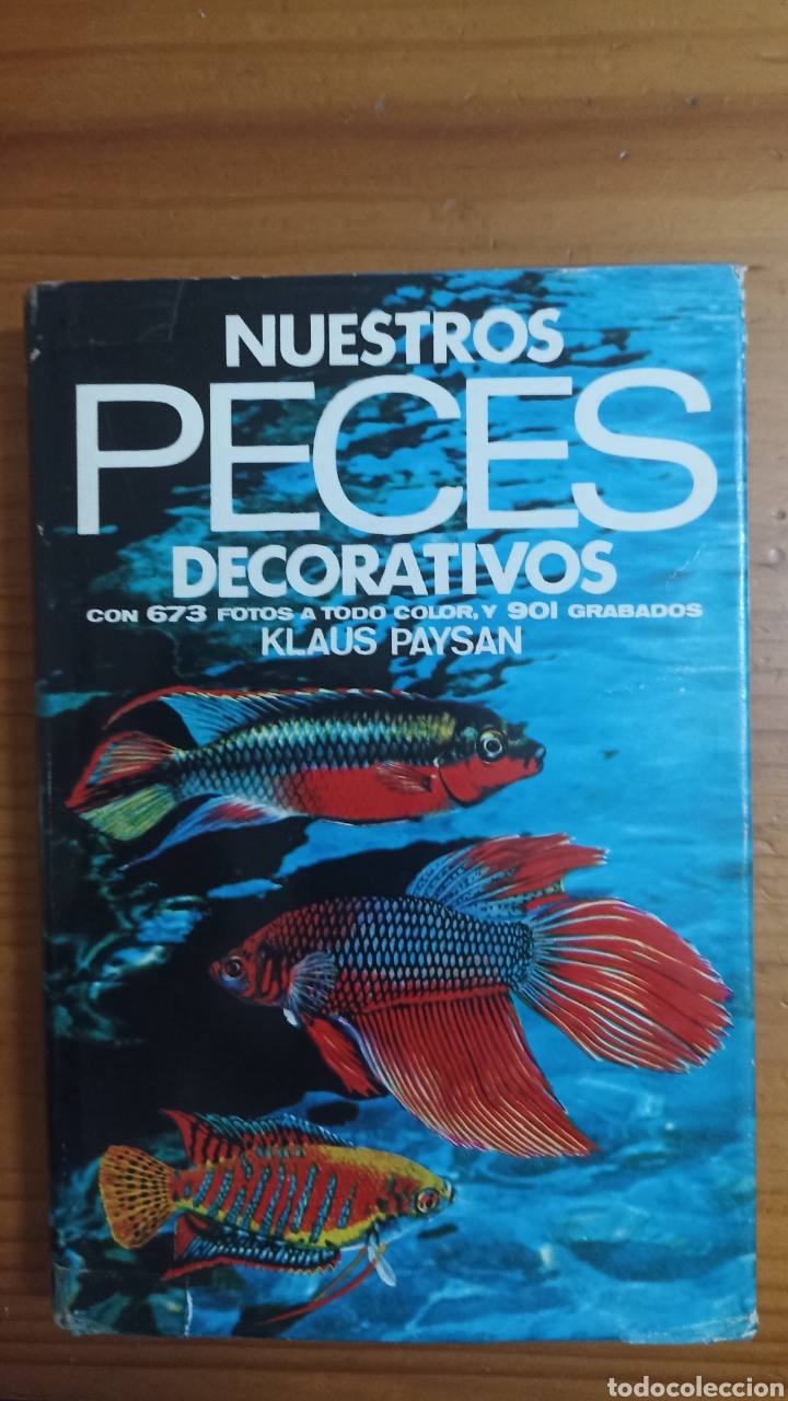 Libros: Nuestros peces decorativos - Foto 1 - 296896133